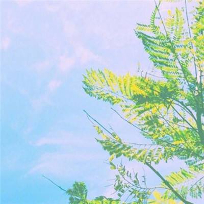 4399热血海贼王手机版下载
